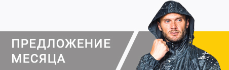 Предложение месяца