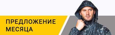 Предложение месяца